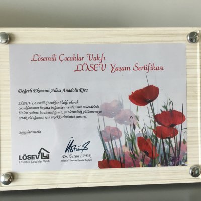 Ekomini Lösev İşbirliği